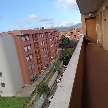 比萨La Casina Accogliente公寓 外观 照片
